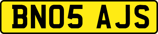 BN05AJS