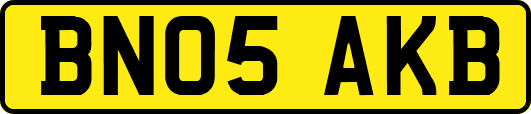 BN05AKB
