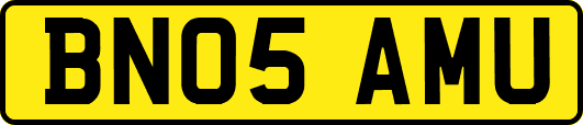 BN05AMU