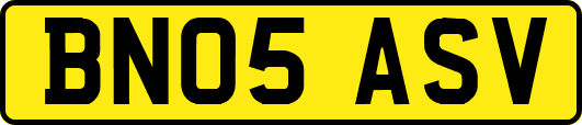BN05ASV