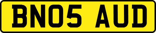 BN05AUD