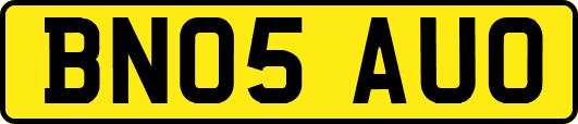 BN05AUO