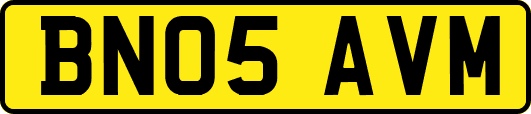 BN05AVM