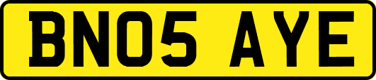 BN05AYE