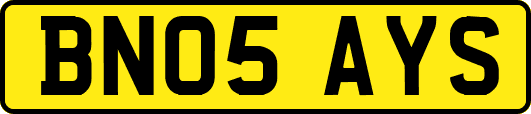 BN05AYS