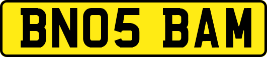 BN05BAM