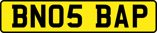 BN05BAP