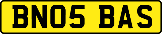 BN05BAS
