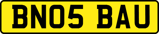 BN05BAU