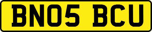 BN05BCU