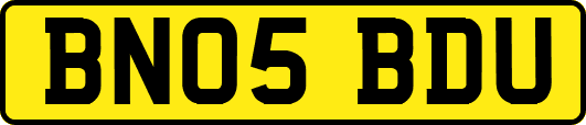 BN05BDU