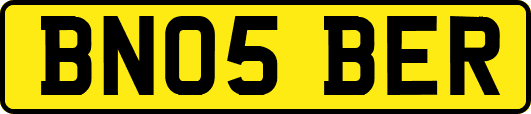 BN05BER