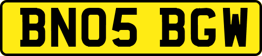BN05BGW