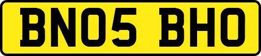BN05BHO