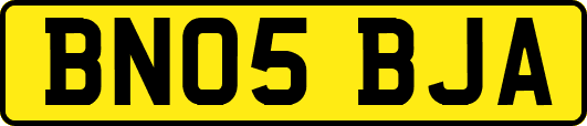 BN05BJA