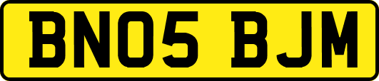 BN05BJM