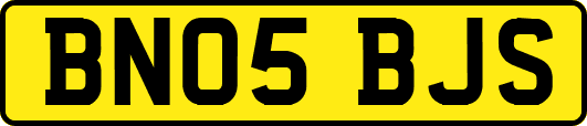 BN05BJS