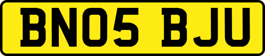 BN05BJU