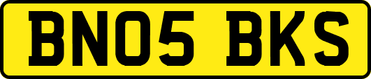 BN05BKS