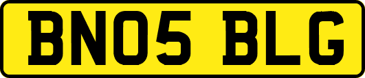 BN05BLG