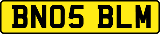 BN05BLM
