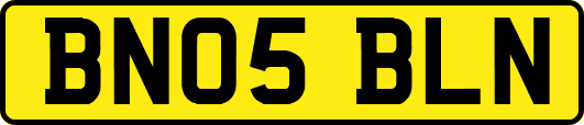 BN05BLN