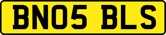 BN05BLS