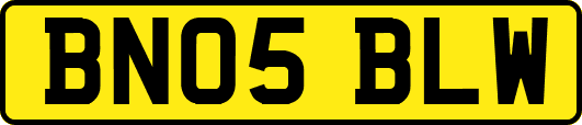 BN05BLW