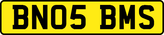 BN05BMS