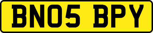 BN05BPY