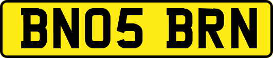 BN05BRN