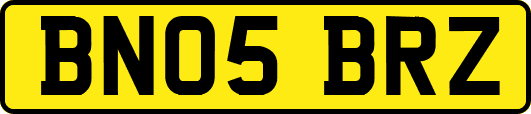 BN05BRZ