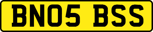 BN05BSS