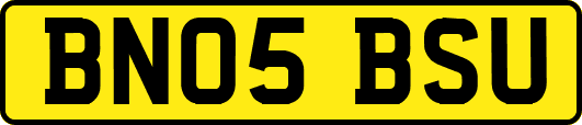 BN05BSU