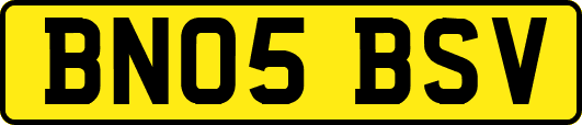 BN05BSV