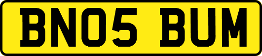 BN05BUM
