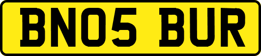 BN05BUR