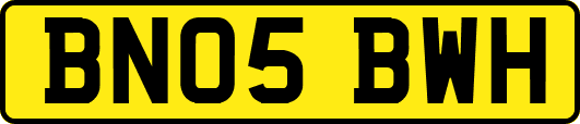 BN05BWH
