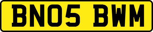 BN05BWM