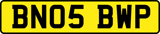 BN05BWP