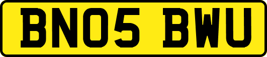 BN05BWU