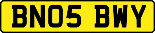 BN05BWY