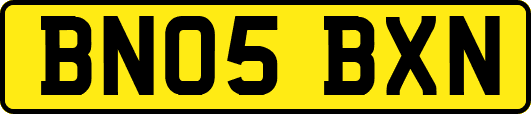 BN05BXN
