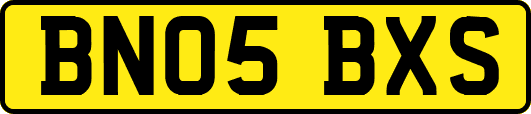 BN05BXS