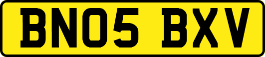 BN05BXV