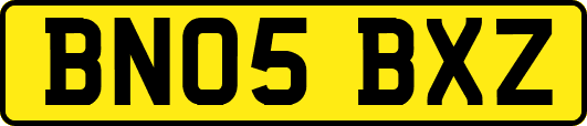 BN05BXZ