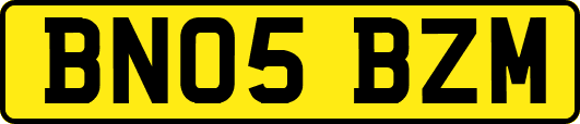 BN05BZM