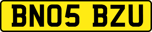 BN05BZU