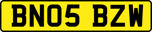 BN05BZW
