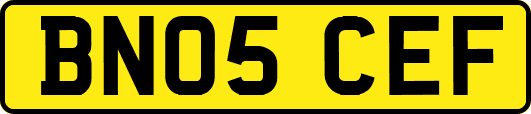 BN05CEF